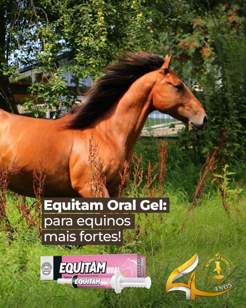 Equitam Oral Gel: para equinos mais fortes! 